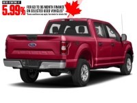 2019 Ford F-150 XLT 4WD SuperCrew 5.5' Box Vermillion Red  Shot 14