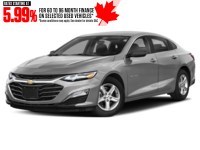 2021 Chevrolet Malibu 4dr Sdn LS w/1FL Silver Ice Metallic  Shot 4