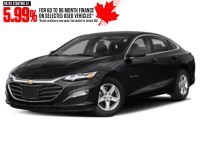2021 Chevrolet Malibu 4dr Sdn LS w/1FL Mosaic Black Metallic  Shot 13