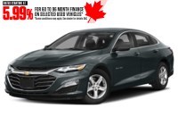 2021 Chevrolet Malibu 4dr Sdn LS w/1FL Shadow Grey Metallic  Shot 22
