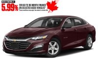 2021 Chevrolet Malibu 4dr Sdn LS w/1FL Black Cherry Metallic  Shot 28