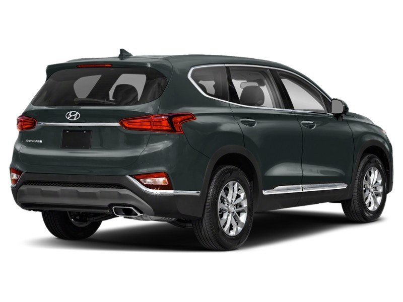 2020 Hyundai Santa Fe 2.0T Luxury AWD Rainforest  Shot 30