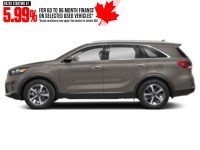 2019 Kia Sorento EX AWD Titanium Metallic  Shot 21