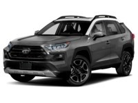 2020 Toyota RAV4 Trail AWD Magnetic Grey Metallic w/Ice Edge Roof  Shot 1