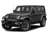 2019 Jeep Wrangler Unlimited Sahara Black  Shot 4