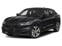 2021 Ford Mustang Mach-E Premium Shadow Black  Shot 4