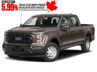 2023 Ford F-150 XL 4WD SuperCrew 5.5' Box Stone Grey Metallic  Shot 20