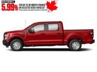 2023 Ford F-150 XL 4WD SuperCrew 5.5' Box Race Red  Shot 55