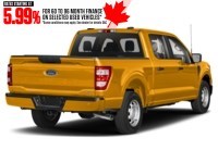 2023 Ford F-150 XL 4WD SuperCrew 5.5' Box
