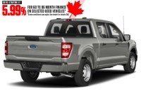 2023 Ford F-150 XL 4WD SuperCrew 5.5' Box Iconic Silver Metallic  Shot 40