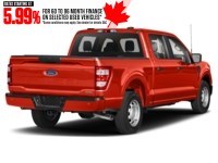 2023 Ford F-150 XL 4WD SuperCrew 5.5' Box Orange  Shot 46