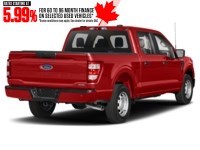 2023 Ford F-150 XL 4WD SuperCrew 5.5' Box Race Red  Shot 52
