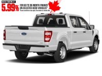 2023 Ford F-150 XL 4WD SuperCrew 5.5' Box Oxford White  Shot 64