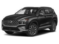 2023 Hyundai Santa Fe HEV Luxury AWD Abyss Black  Shot 10