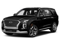 2021 Hyundai Palisade Ultimate Calligraphy 7-Passenger AWD Abyss  Shot 4