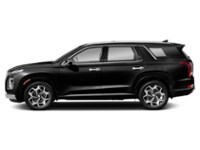 2021 Hyundai Palisade Ultimate Calligraphy 7-Passenger AWD Abyss  Shot 3