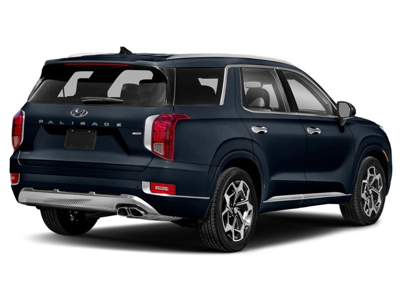 2021 Hyundai Palisade Ultimate Calligraphy 7-Passenger AWD Moonlight Cloud  Shot 6