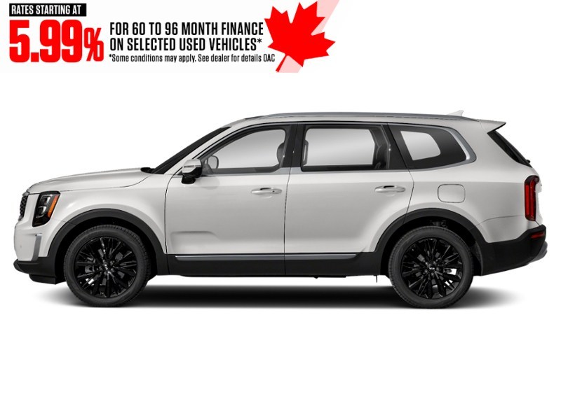 2020 Kia Telluride SX Limited w/Nappa AWD Snow White Pearl  Shot 5