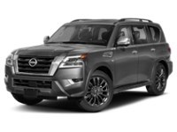 2021 Nissan Armada Platinum Gun Metallic  Shot 4