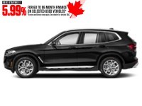 2022 BMW X3 xDrive30i Sports Activity Vehicle Jet Black  Shot 15