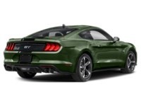 2023 Ford Mustang GT Fastback Eruption Green Metallic  Shot 30