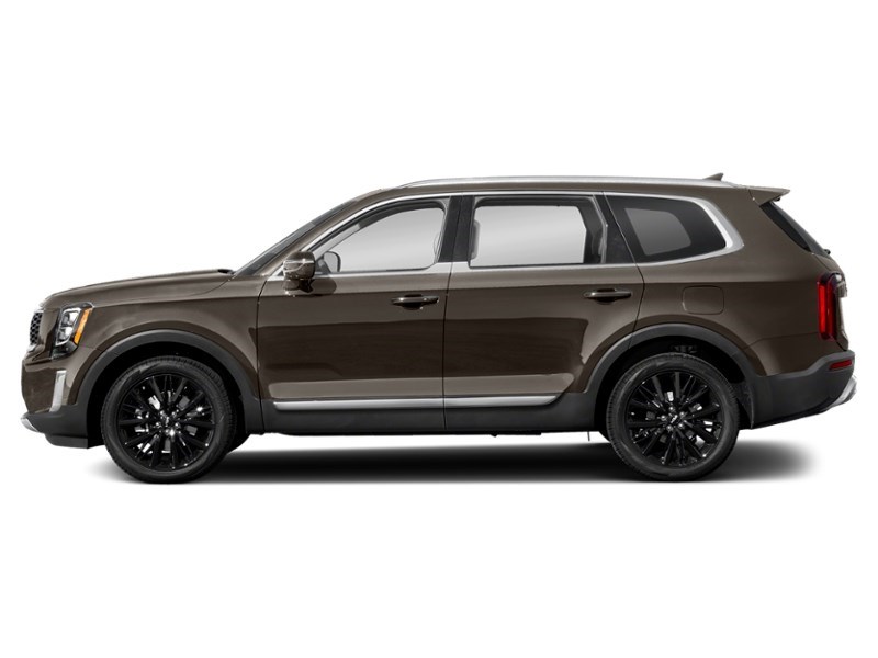 2022 Kia Telluride SX AWD Dark Moss  Shot 21