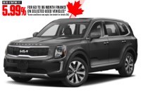 2022 Kia Telluride Nightsky AWD Gravity Grey  Shot 40