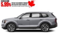 2022 Kia Telluride Nightsky AWD Wolf Grey  Shot 15