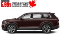 2022 Kia Telluride Nightsky AWD Sangria  Shot 45