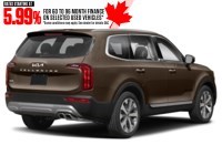 2022 Kia Telluride Nightsky AWD Black Copper w/Copper Flakes  Shot 12