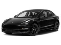 2022 Tesla Model 3 RWD Solid Black  Shot 1