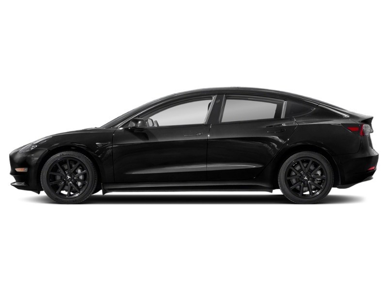 2022 Tesla Model 3 RWD Solid Black  Shot 3