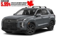 2025 Hyundai Palisade Urban 7-Passenger AWD Steel Graphite  Shot 1
