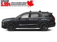 2025 Hyundai Palisade Urban 7-Passenger AWD Abyss Black  Shot 4