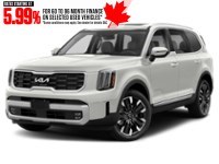 2023 Kia Telluride SX AWD Glacial White Pearl  Shot 25
