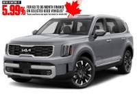 2023 Kia Telluride SX AWD Wolf Grey  Shot 40