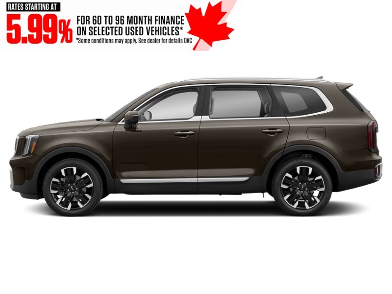 2023 Kia Telluride SX AWD Dark Moss  Shot 21