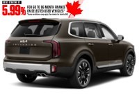 2023 Kia Telluride SX AWD Dark Moss  Shot 24