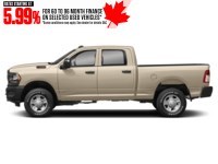 2023 RAM 2500 Tradesman 4x4 Crew Cab 6'4" Box Light Cream  Shot 5