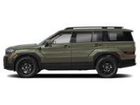 2025 Hyundai Santa Fe XRT AWD Rockwood Green  Shot 22