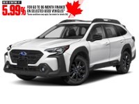 2024 Subaru Outback Onyx AWD Ice Silver Metallic  Shot 1
