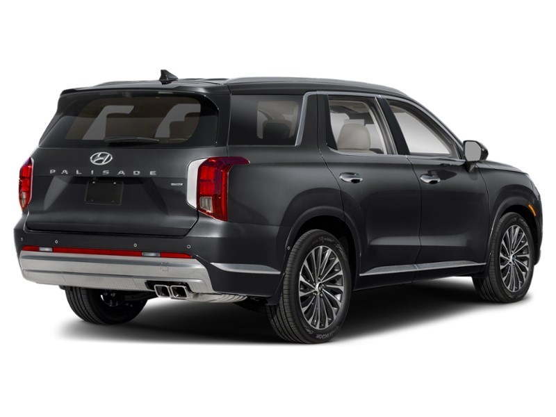 2025 Hyundai Palisade Ultimate Calligraphy 7-Passenger AWD Abyss Black  Shot 6