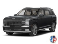 2026 Hyundai Palisade Ultimate Calligraphy AWD Abyss Black  Shot 4